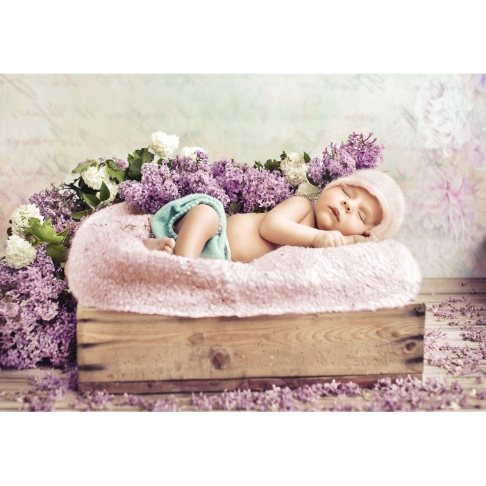 Puzzle Grafika-F-31100 Konrad Bak: Baby sleeping in the Lilac