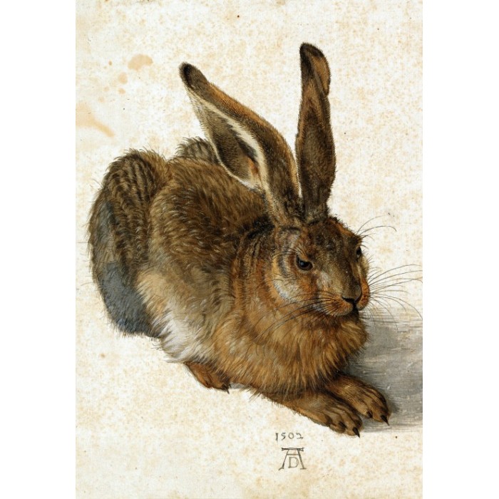 Puzzle Grafika-F-31135 Albrecht Dürer - The Rabbit, 1502