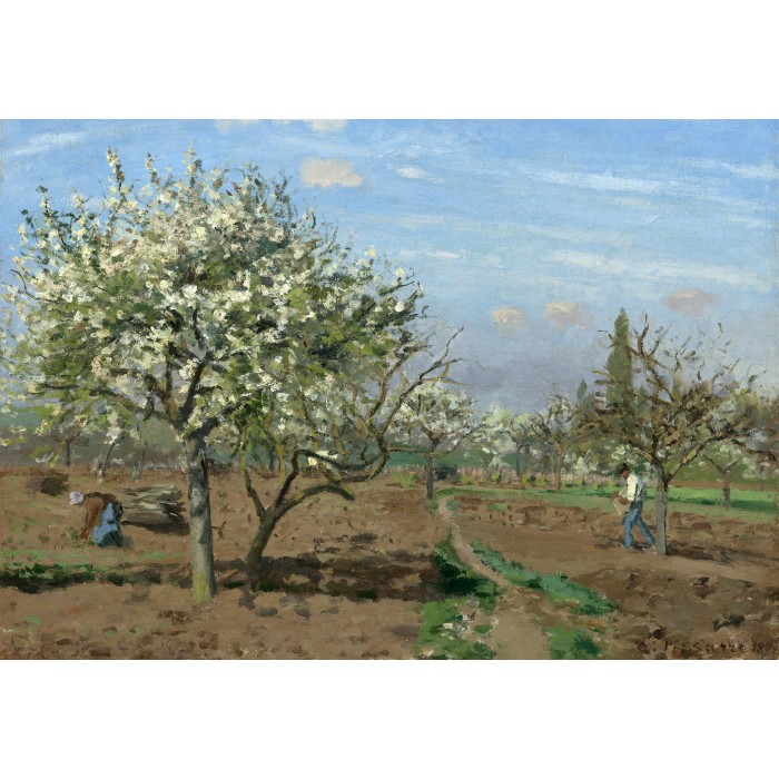 Puzzle Grafika-F-31245 Camille Pissarro : Orchard in Bloom, Louveciennes, 1872