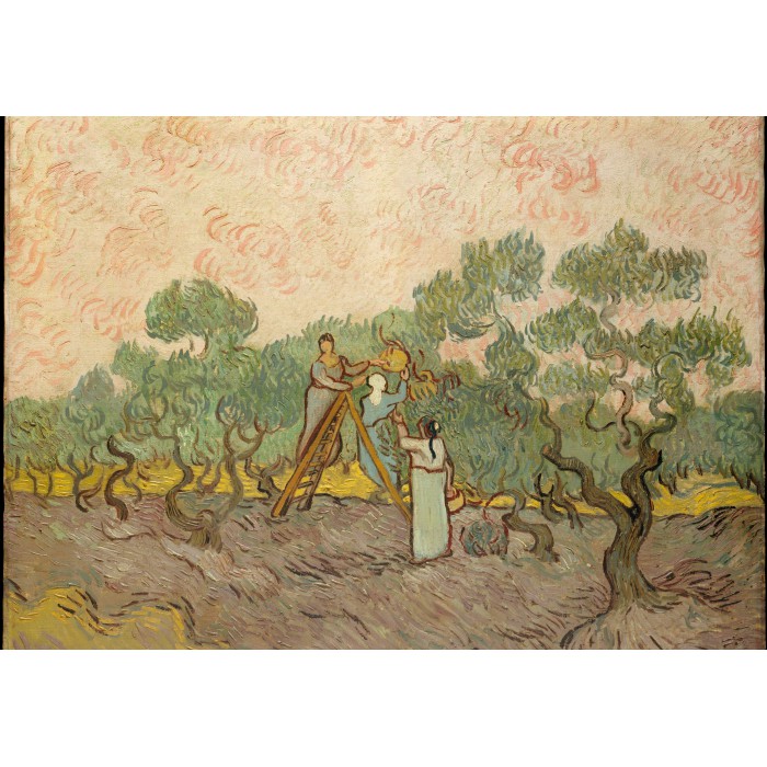 Puzzle Grafika-F-31637 Van Gogh Vincent : Femmes ramassant des Olives, 1889