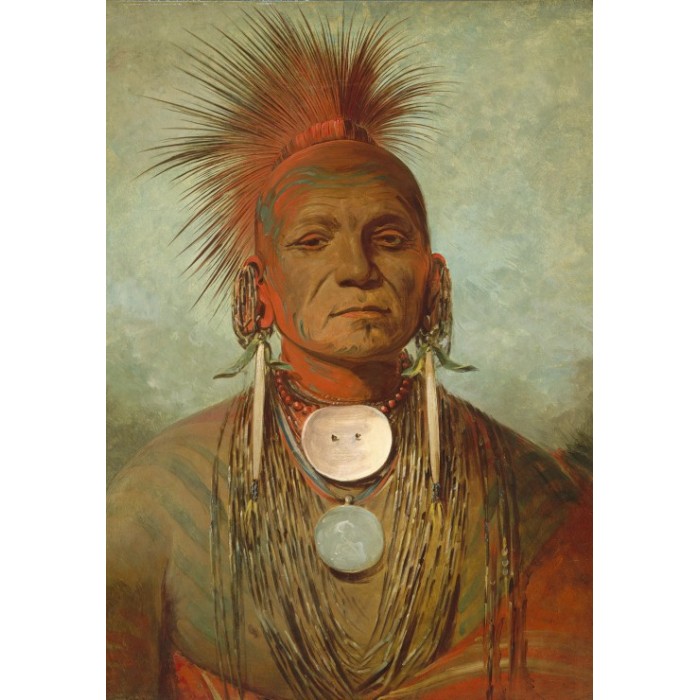 Puzzle Grafika-F-31802 George Catlin : See-non-ty-a, Homme Medecine de l'Iowa Medicine Man, 1844-1845