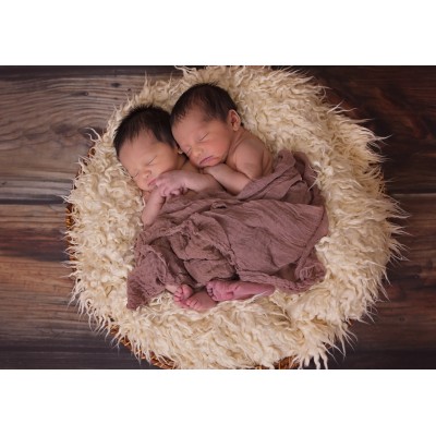 Puzzle  Grafika-F-31849 Twins