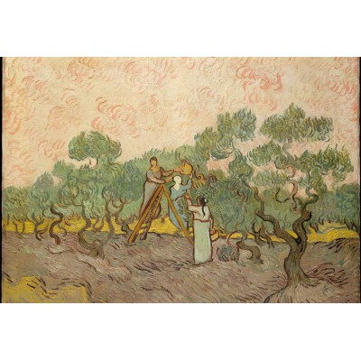 Puzzle  Grafika-Kids-00447 XXL Pieces - Van Gogh: Women Picking Olives,1889