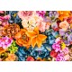Grafika - Artificial Bunch of Vintage Flowers