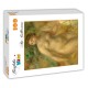 Grafika - Auguste Renoir : Nude, 1895