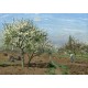Grafika - Camille Pissarro : Orchard in Bloom, Louveciennes, 1872
