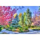 Grafika - Colorful Forest, Colorado, USA