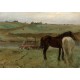 Grafika - Edgar Degas: Horses in a Meadow, 1871