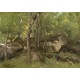 Grafika - Jean-Baptiste-Camille Corot : Rochers en Forêt de Fontainebleau, 1860-1865