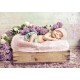 Grafika - Konrad Bak: Baby sleeping in the Lilac