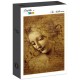 Grafika - Leonardo da Vinci : The Face of Giovane Fanciulla, 1508