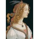 Grafika - Sandro Botticelli: Portrait of a young Woman, 1494