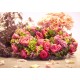 Grafika - Vintage Bouquet
