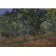 Grafika - XXL Pieces - Claude Monet: Fontainebleau, 1865