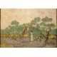 Grafika - XXL Pieces - Van Gogh: Women Picking Olives,1889