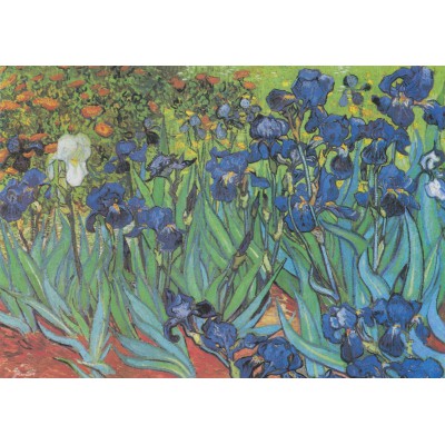 grafika-Puzzle - 1000 pieces - Vincent Van Gogh, 1889