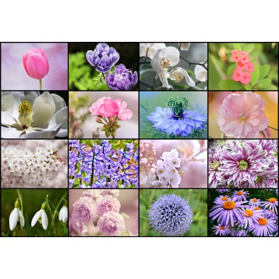 Puzzle  Grafika-01216 Collage - Frühlingsblumen