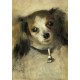 Grafika - Auguste Renoir : Tête de Chien, 1870