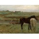 Grafika - Edgar Degas : Chevaux dans un Pré, 1871