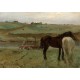 Grafika - Edgar Degas: Horses in a Meadow, 1871