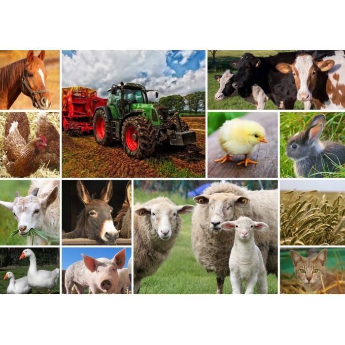 Puzzle Grafika-F-30027 Collage - Animaux de la Ferme