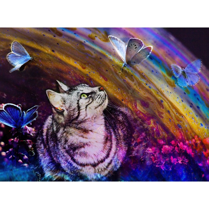 Puzzle Grafika-F-30794 Le Chat et l'Arc-en-Ciel