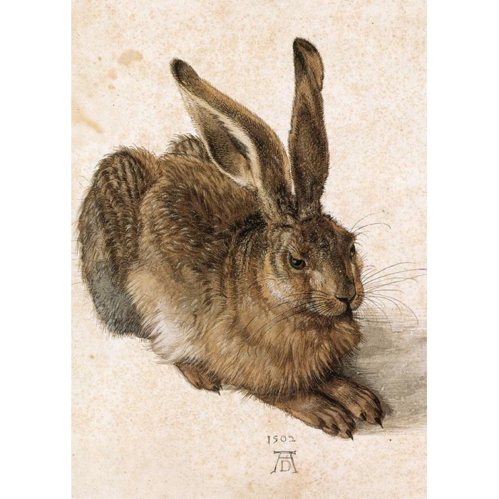 Puzzle Grafika-F-32245 Dürer - Young Hare
