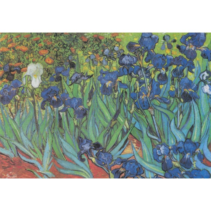 Puzzle Grafika-F-32751 Van Gogh Vincent - Saint-Remy - Les Iris, 1889