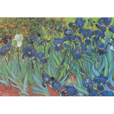 Grafika - 1000 pièces - Vincent Van Gogh - Saint-Remy - Les Iris, 1889