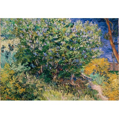 Grafika - 1000 pièces - Van Gogh Vincent - Lilas, 1889