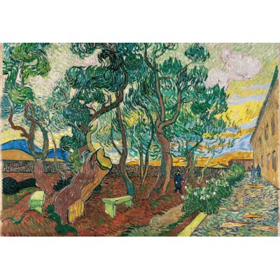 Grafika - 1000 pièces - Van Gogh - Le parc de l'hôpital, 1889