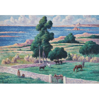 Grafika - 1000 pièces - Maximilien Luce - L'Île à bois, Kermouster, Lézardrieux, 1914