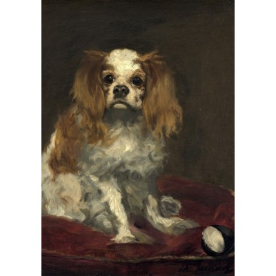Grafika - 1000 pièces - Edouard Manet: A King Charles Spaniel, 1866