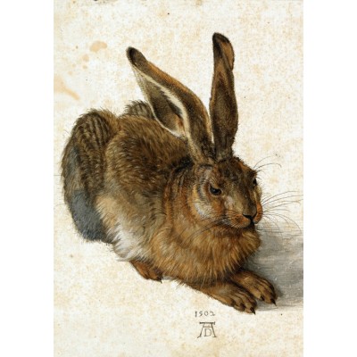 Grafika - 1000 pièces - Albrecht Dürer - Le Lapin, 1502