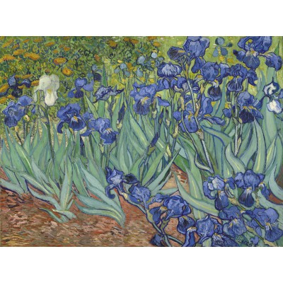 Grafika - 500 pièces - Van Gogh Vincent : Les Iris, 1889