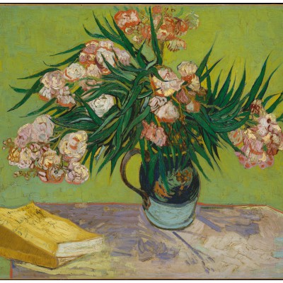 Grafika - 1000 pièces - Van Gogh Vincent : Lauriers Roses,1888