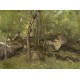 Grafika - Jean-Baptiste-Camille Corot: Rocks in the Forest of Fontainebleau, 1860-1865