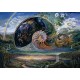 Grafika - Josephine Wall - Nautilus