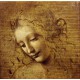 Grafika - Leonardo da Vinci : The Face of Giovane Fanciulla, 1508