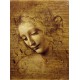 Grafika - Leonardo da Vinci : The Face of Giovane Fanciulla, 1508