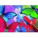 Grafika - Papillons en Peinture