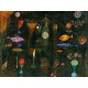 Grafika - Paul Klee : Magie des poissons, 1925