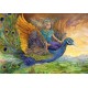 Grafika - Peacock Princess
