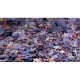 Grafika - Puzzle Mystère sans Boite & sans Image - Sachet de 1500 Pièces
