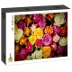 Grafika - Roses