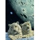 Grafika - Schim Schimmel - Lair of the Snow Leopard