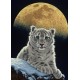 Grafika - Schim Schimmel - Moon Leopard