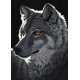 Grafika - Schim Schimmel - Night Wolf