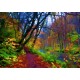 Grafika - Stylized Autumn Forest