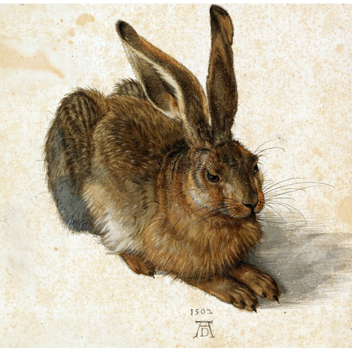 Puzzle Grafika-T-02340 Albrecht Dürer - The Rabbit, 1502